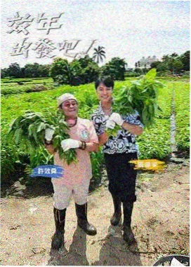 山河月明 推荐